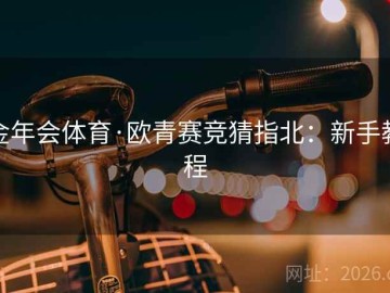 金年会体育·欧青赛竞猜指北：新手教程