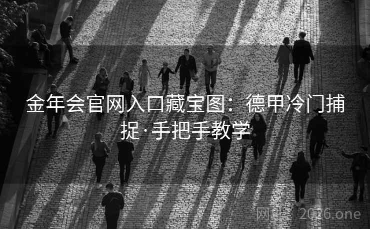 金年会官网入口藏宝图：德甲冷门捕捉·手把手教学