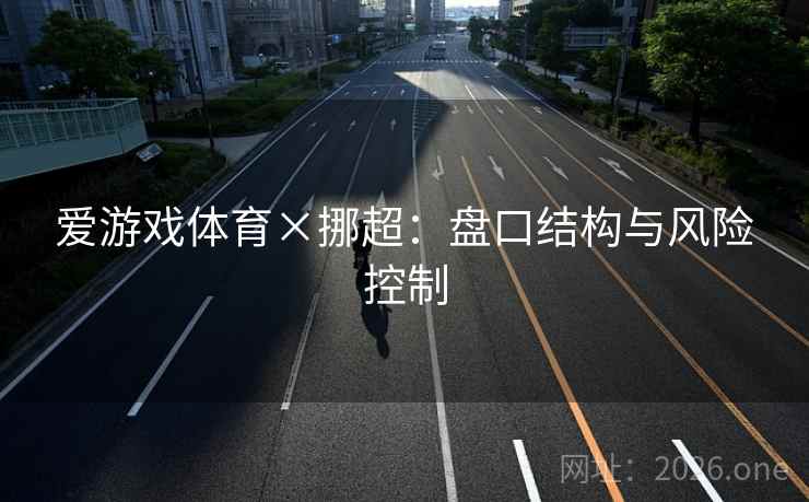 爱游戏体育×挪超：盘口结构与风险控制