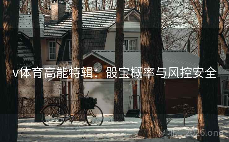 v体育高能特辑：骰宝概率与风控安全