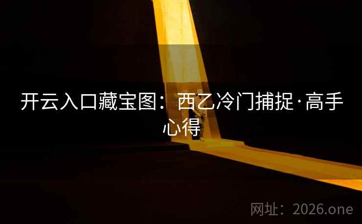 开云入口藏宝图：西乙冷门捕捉·高手心得